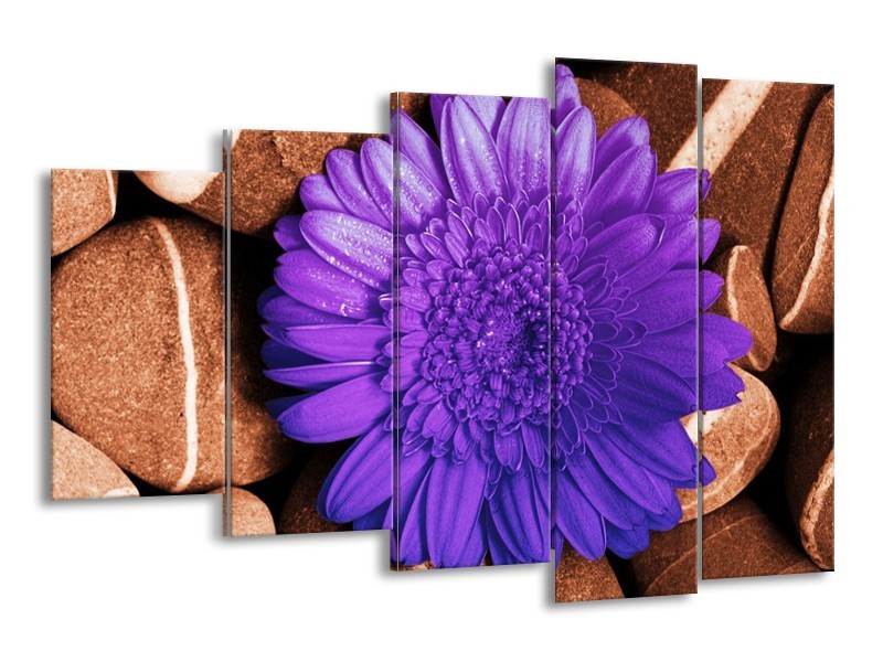 Canvas schilderij Bloem | Paars, Bruin, Wit | 150x100cm 5Luik