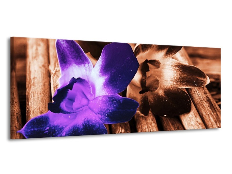 Canvas schilderij Bloem | Paars, Bruin, Wit | 145x58cm 1Luik