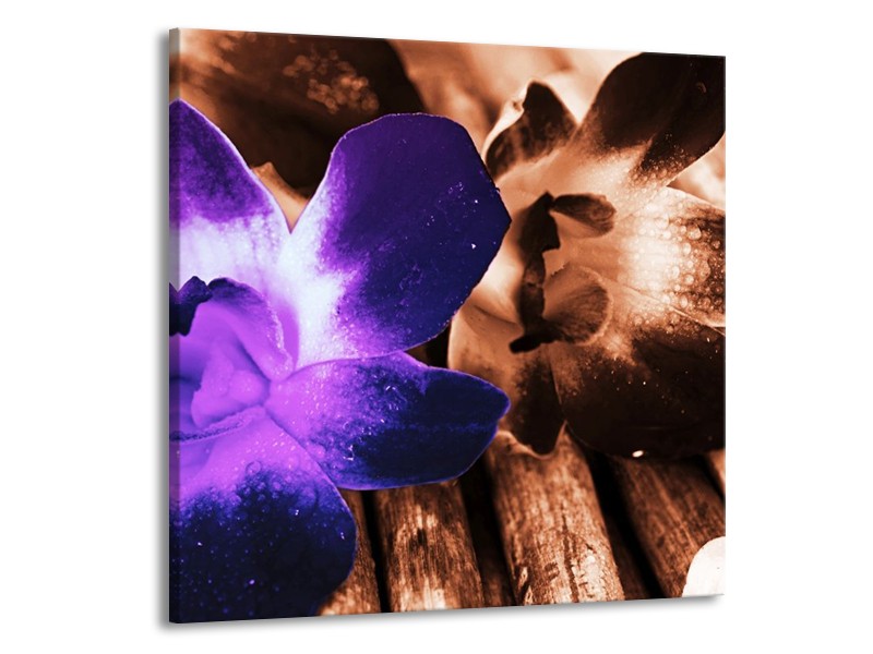 Canvas schilderij Bloem | Paars, Bruin, Wit | 70x70cm 1Luik