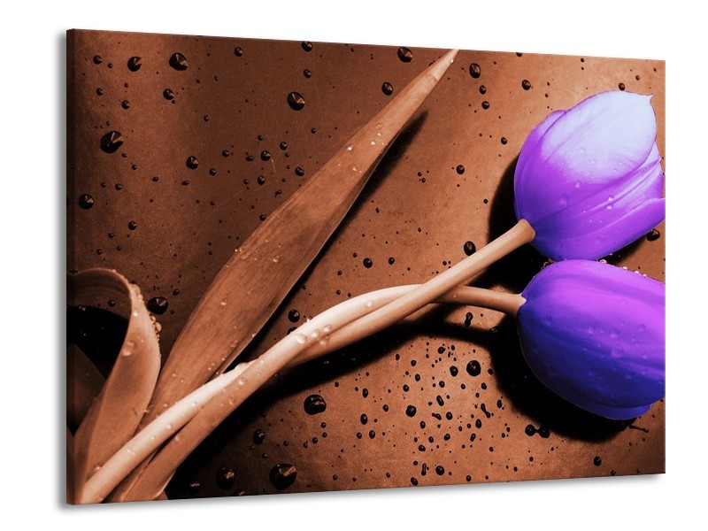 Canvas schilderij Tulp | Paars, Bruin, Wit | 100x70cm 1Luik