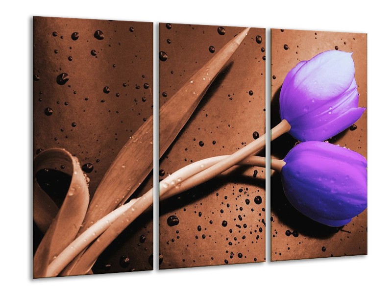 Canvas schilderij Tulp | Paars, Bruin, Wit | 120x80cm 3Luik