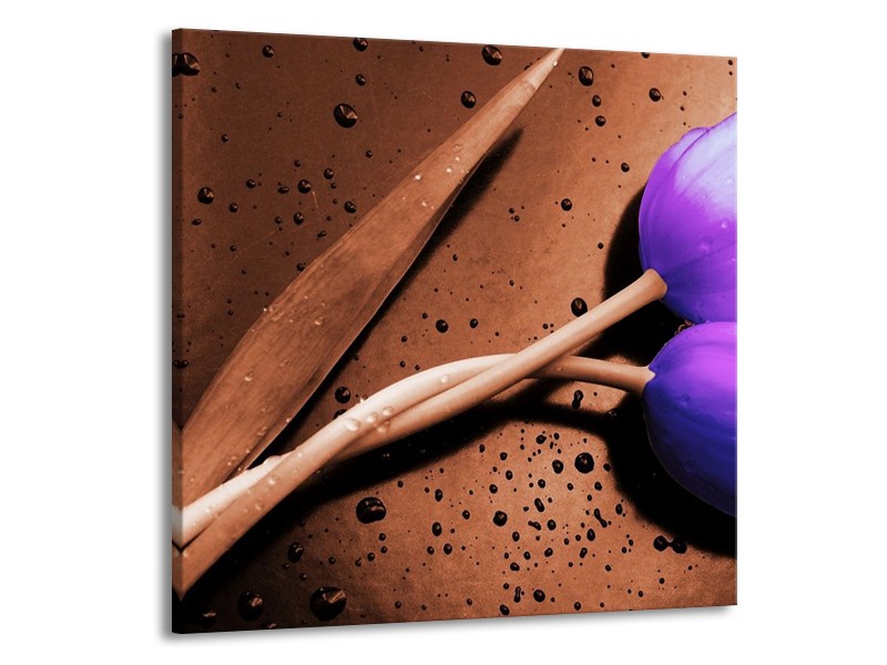 Canvas schilderij Tulp | Paars, Bruin, Wit | 70x70cm 1Luik