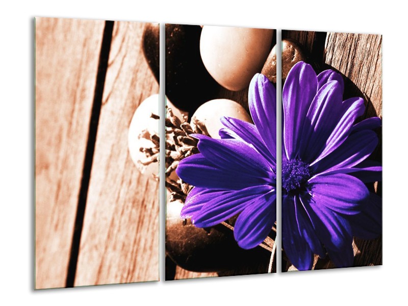 Canvas schilderij Bloem | Paars, Bruin, Wit | 120x80cm 3Luik