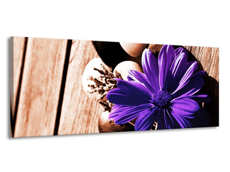 Canvas schilderij Bloem | Paars, Bruin, Wit | 145x58cm 1Luik