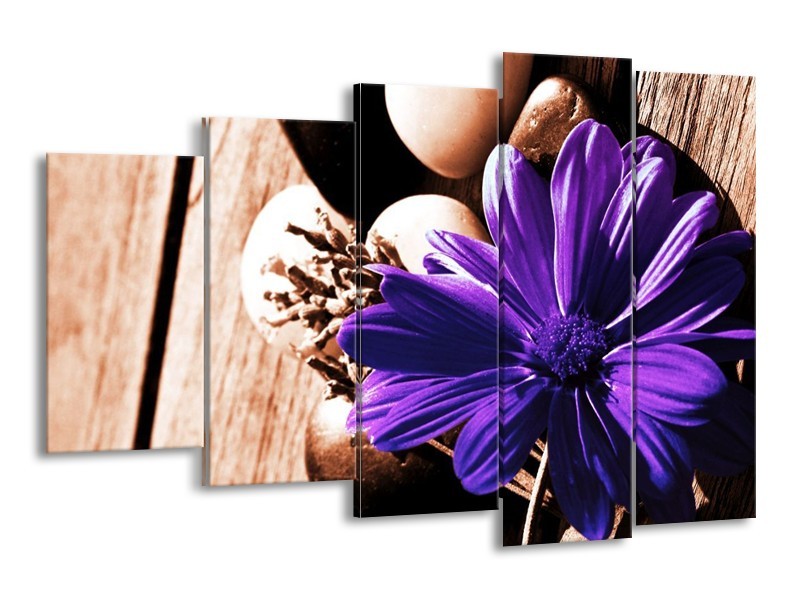 Canvas schilderij Bloem | Paars, Bruin, Wit | 150x100cm 5Luik