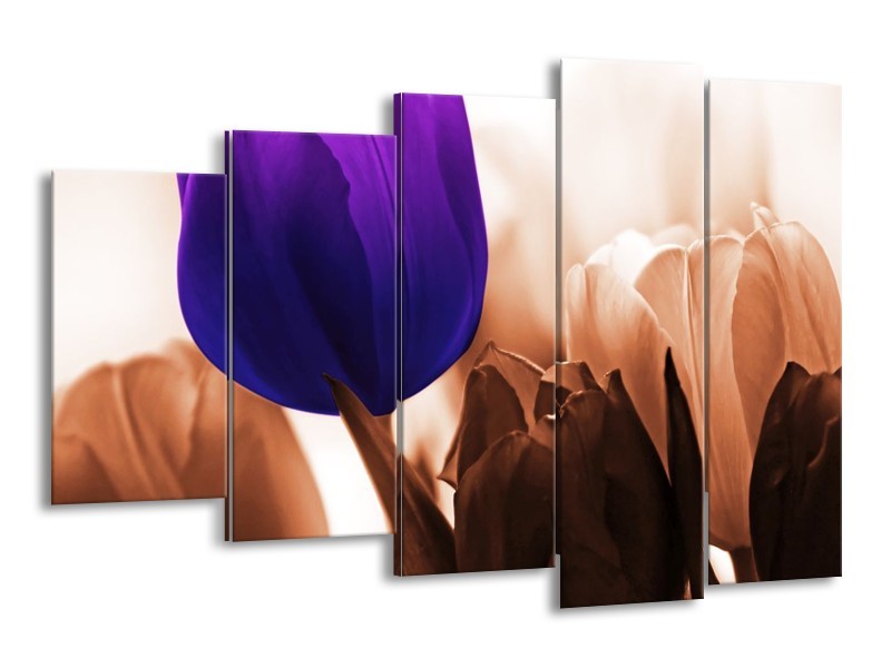 Canvas schilderij Tulp | Paars, Bruin, Wit | 150x100cm 5Luik