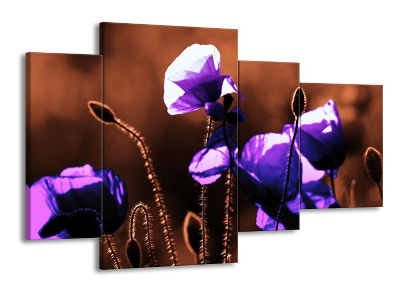 Canvas schilderij Klaproos | Paars, Bruin, Wit | 120x75cm 4Luik