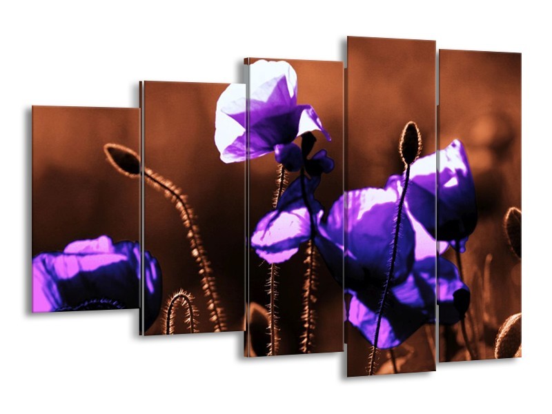 Canvas schilderij Klaproos | Paars, Bruin, Wit | 150x100cm 5Luik