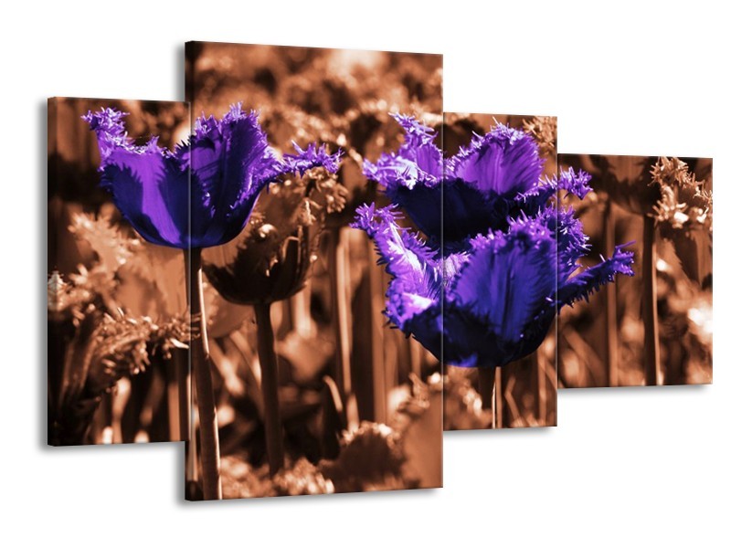 Canvas schilderij Tulp | Paars, Bruin, Wit | 120x75cm 4Luik