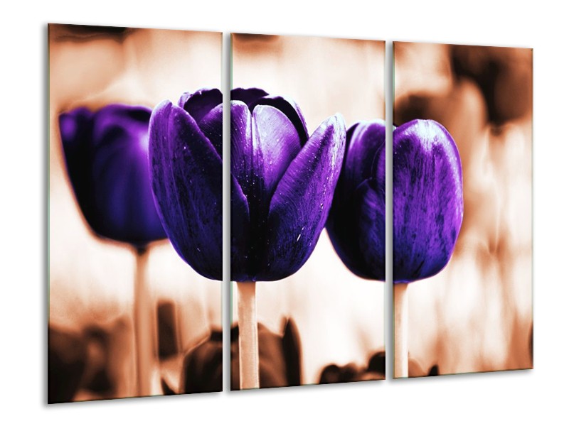 Canvas schilderij Tulp | Paars, Bruin, Wit | 120x80cm 3Luik
