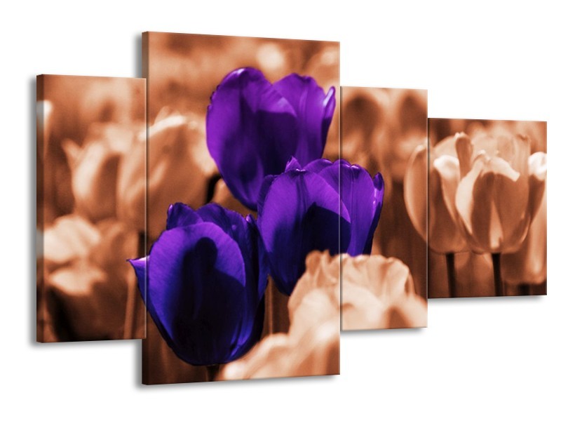 Canvas schilderij Tulp | Paars, Bruin, Wit | 120x75cm 4Luik