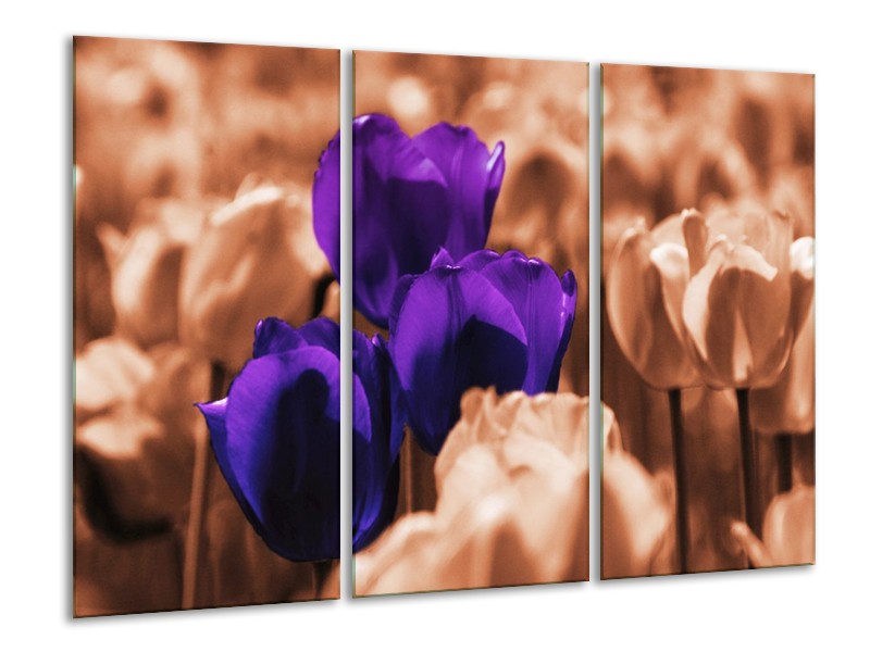Canvas schilderij Tulp | Paars, Bruin, Wit | 120x80cm 3Luik