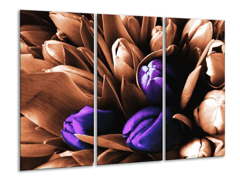 Canvas schilderij Tulp | Paars, Bruin, Wit | 120x80cm 3Luik