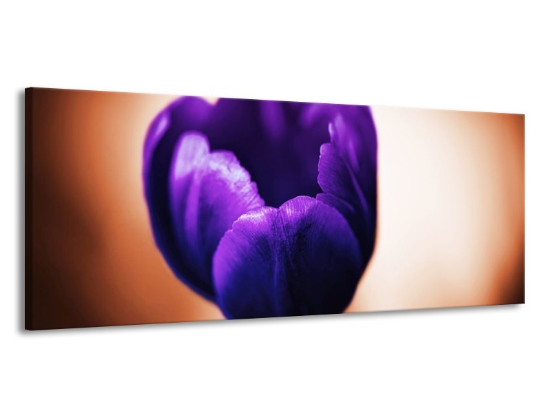 Canvas schilderij Tulp | Paars, Bruin, Wit | 145x58cm 1Luik