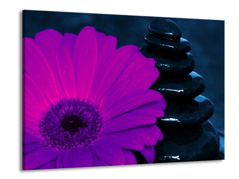 Canvas schilderij Bloem | Paars, Bruin, Wit | 100x70cm 1Luik