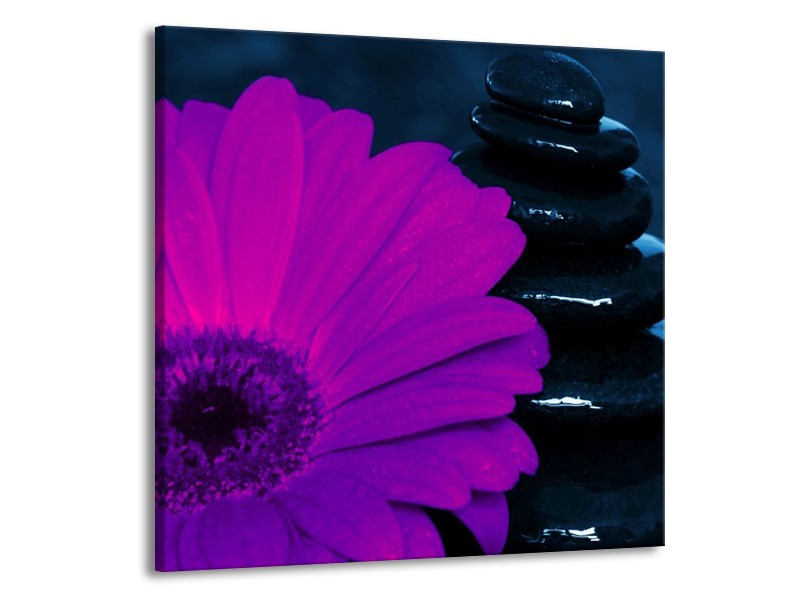 Canvas schilderij Bloem | Paars, Bruin, Wit | 70x70cm 1Luik