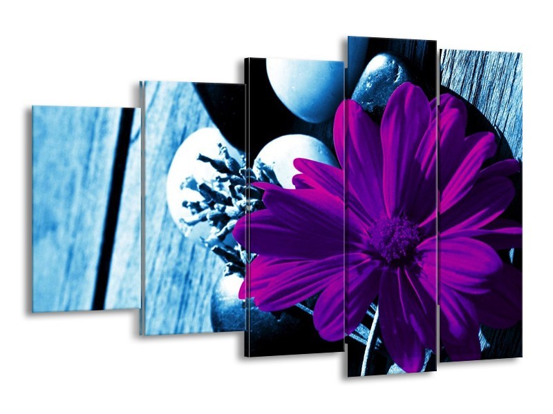 Canvas schilderij Bloem | Paars, Blauw, Wit | 150x100cm 5Luik