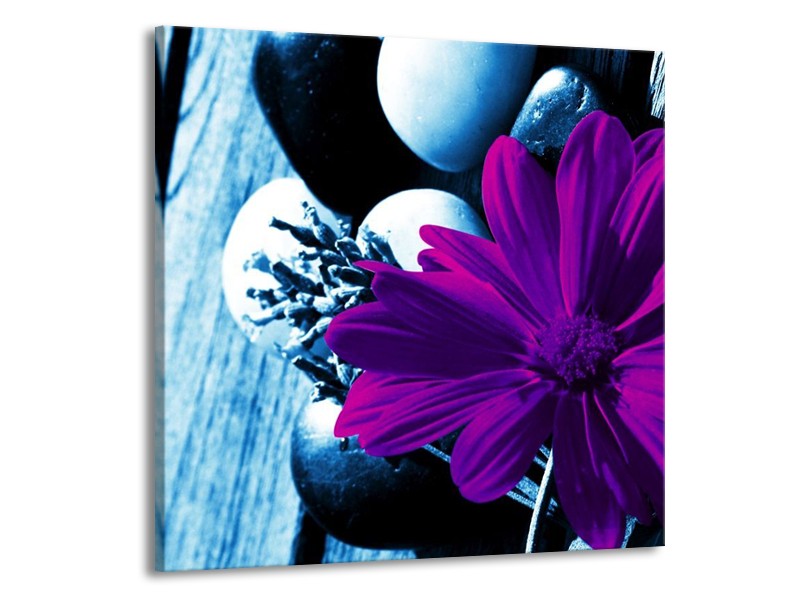 Canvas schilderij Bloem | Paars, Blauw, Wit | 70x70cm 1Luik