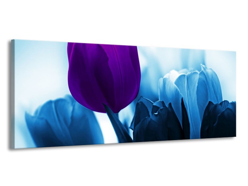 Canvas schilderij Tulp | Paars, Blauw, Wit | 145x58cm 1Luik