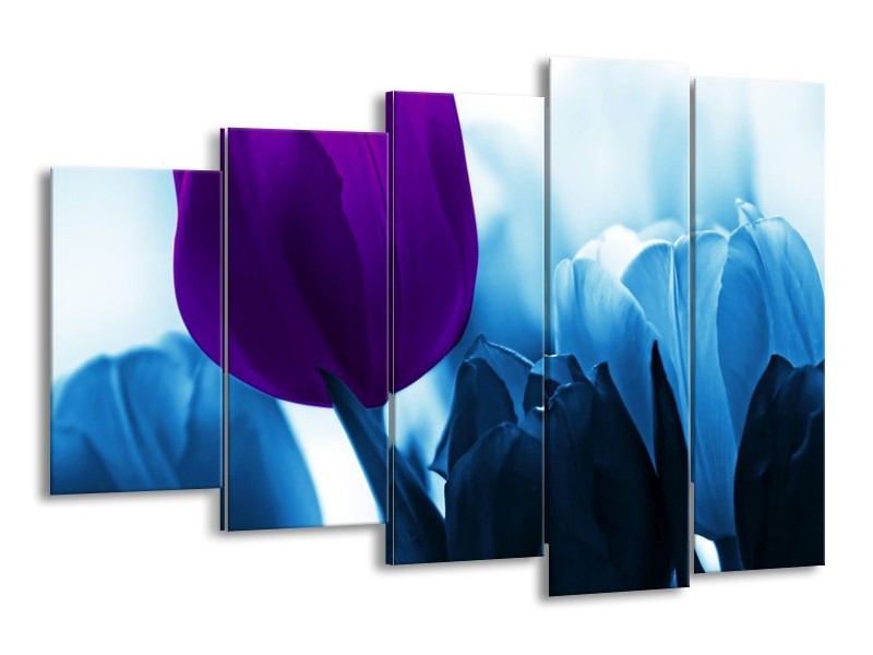 Canvas schilderij Tulp | Paars, Blauw, Wit | 150x100cm 5Luik