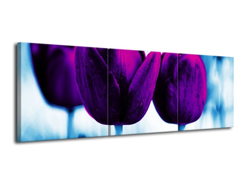 Canvas schilderij Tulp | Paars, Blauw, Wit | 120x40cm 3Luik