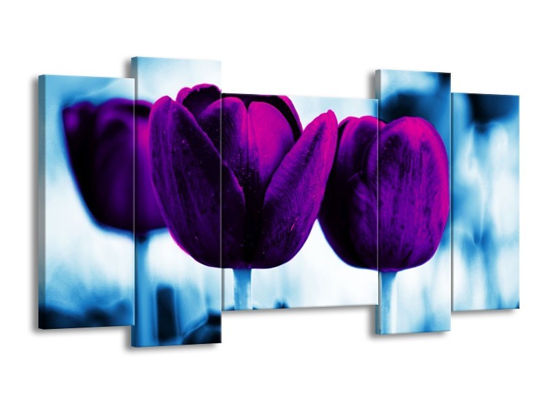 Canvas schilderij Tulp | Paars, Blauw, Wit | 120x65 5Luik