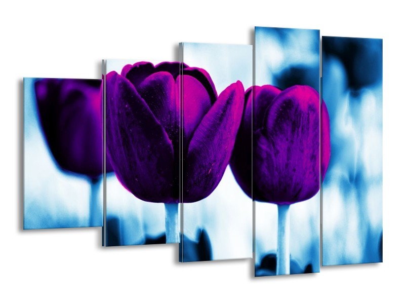 Canvas schilderij Tulp | Paars, Blauw, Wit | 150x100cm 5Luik