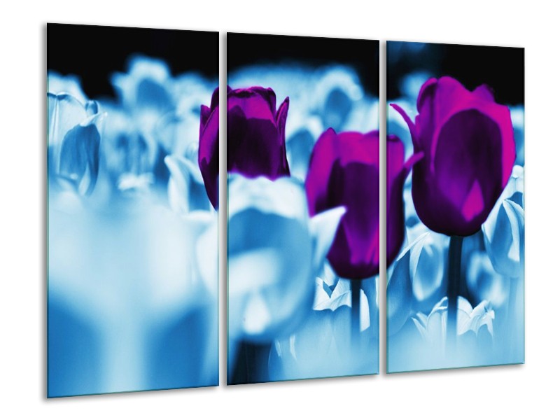 Canvas schilderij Tulp | Paars, Blauw, Wit | 120x80cm 3Luik