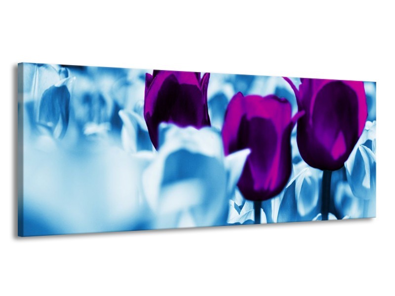 Canvas schilderij Tulp | Paars, Blauw, Wit | 145x58cm 1Luik