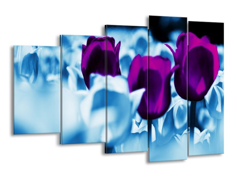 Canvas schilderij Tulp | Paars, Blauw, Wit | 150x100cm 5Luik