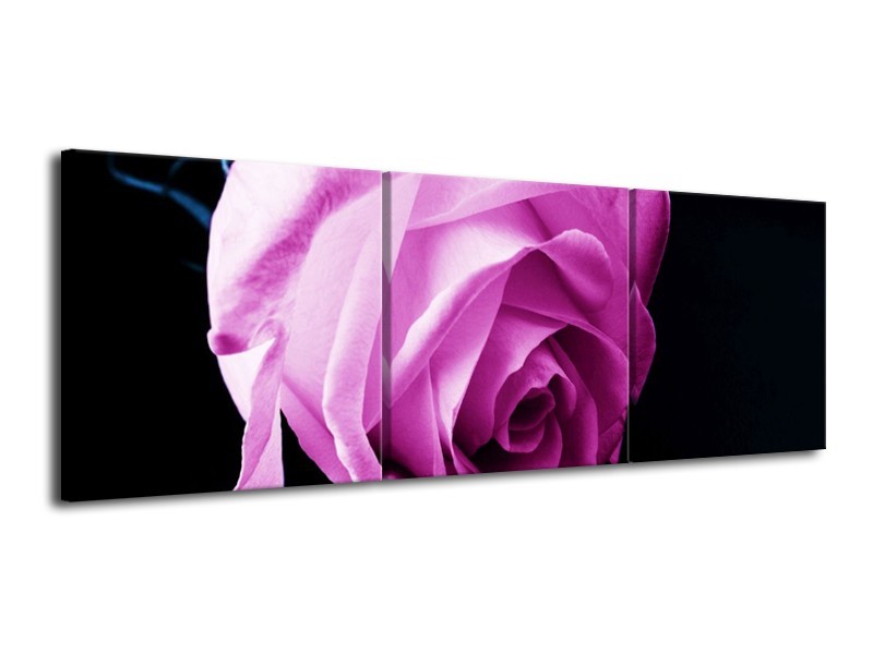 Canvas schilderij Roos | Roze, Wit, Zwart | 120x40cm 3Luik