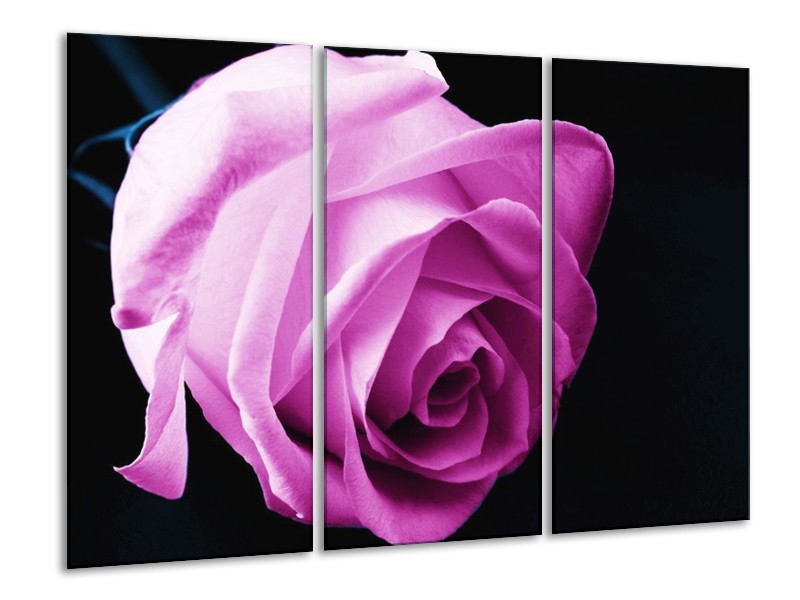 Canvas schilderij Roos | Roze, Wit, Zwart | 120x80cm 3Luik
