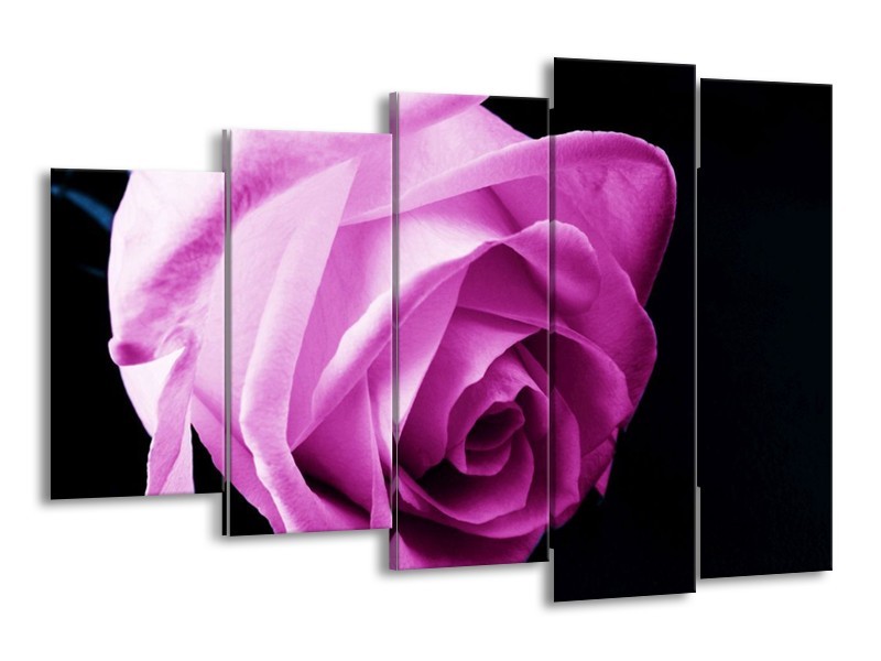 Canvas schilderij Roos | Roze, Wit, Zwart | 150x100cm 5Luik
