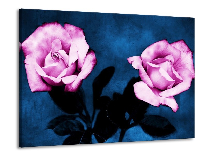 Canvas schilderij Roos | Roze, Blauw, Zwart | 100x70cm 1Luik