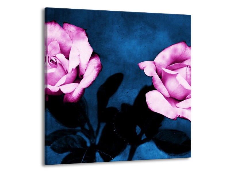Canvas schilderij Roos | Roze, Blauw, Zwart | 70x70cm 1Luik
