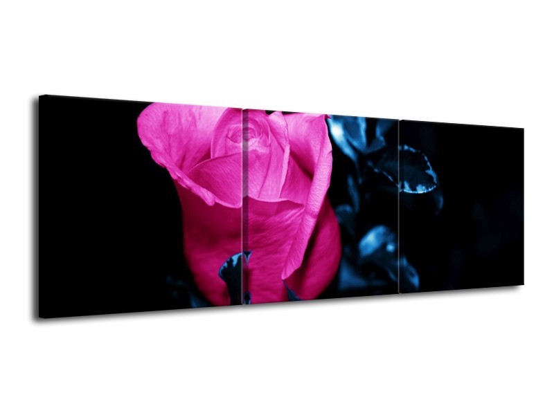 Canvas schilderij Roos | Roze, Blauw, Zwart | 120x40cm 3Luik