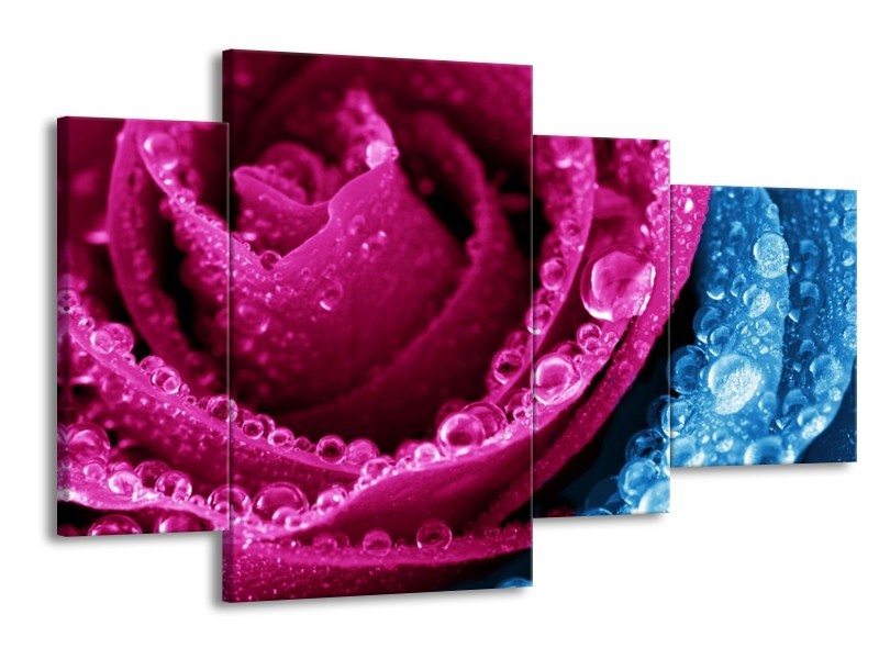 Canvas schilderij Roos | Roze, Blauw | 120x75cm 4Luik