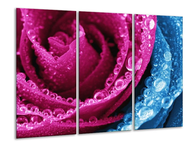 Canvas schilderij Roos | Roze, Blauw | 120x80cm 3Luik