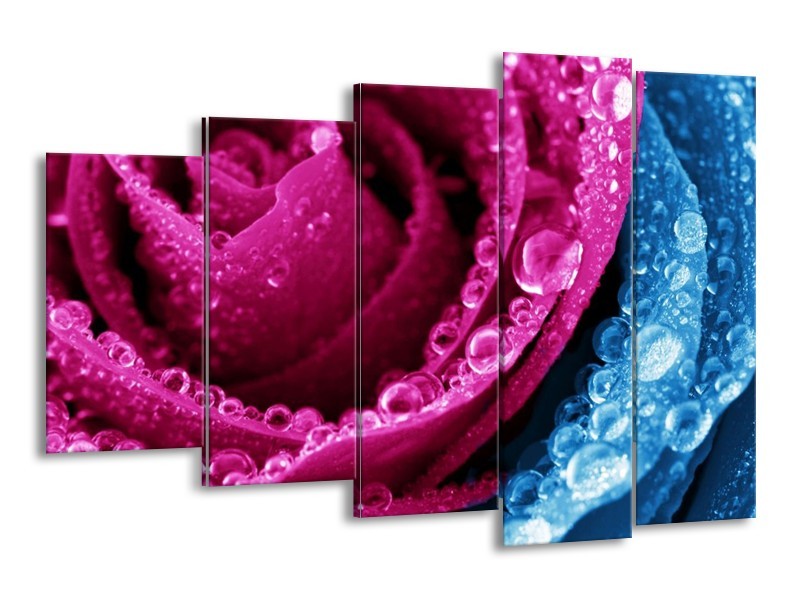 Canvas schilderij Roos | Roze, Blauw | 150x100cm 5Luik