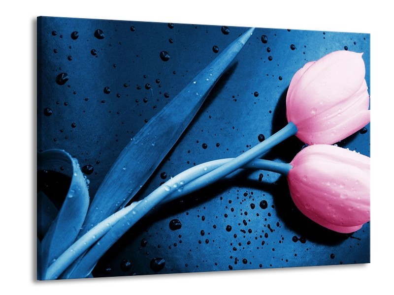 Canvas schilderij Tulp | Roze, Blauw | 100x70cm 1Luik