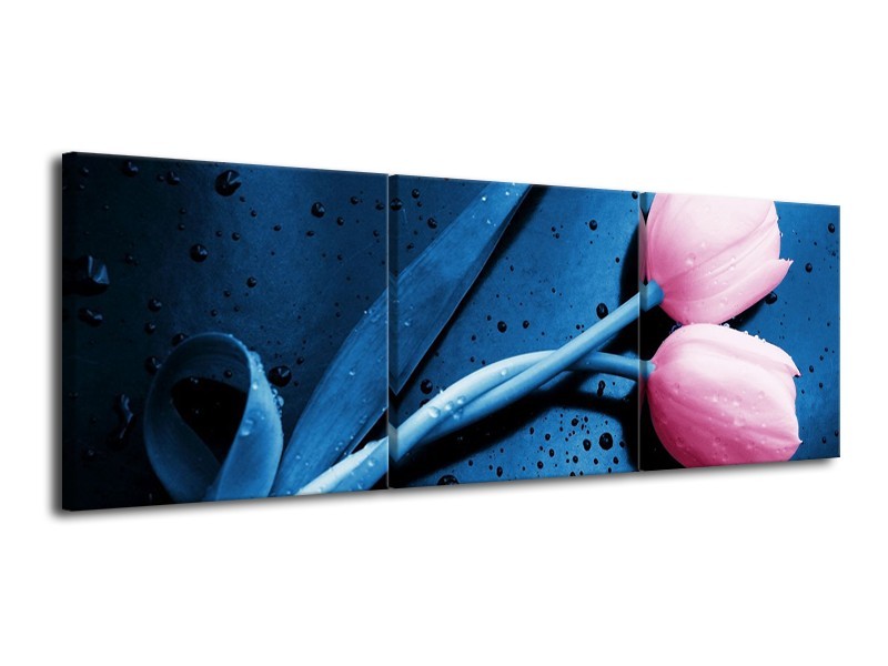 Canvas schilderij Tulp | Roze, Blauw | 120x40cm 3Luik