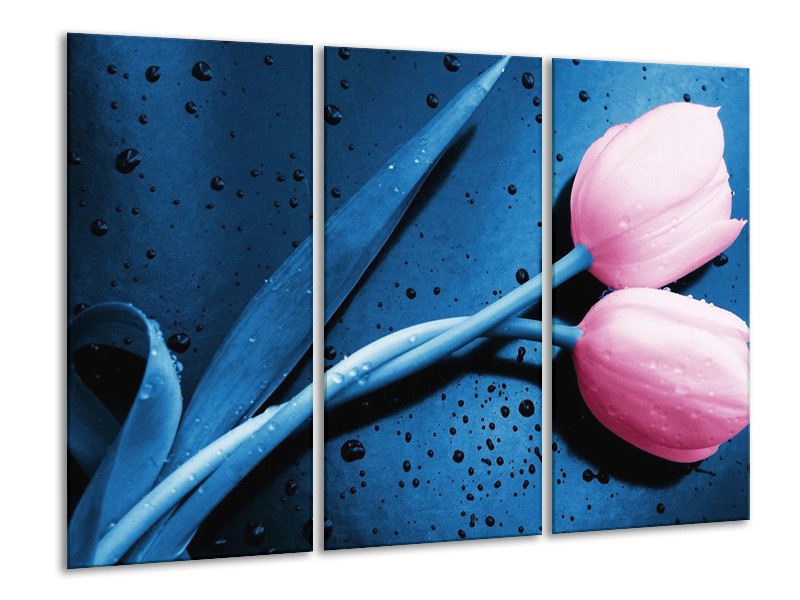 Canvas schilderij Tulp | Roze, Blauw | 120x80cm 3Luik