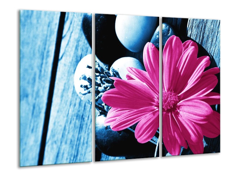 Canvas schilderij Roos | Roze, Blauw | 120x80cm 3Luik