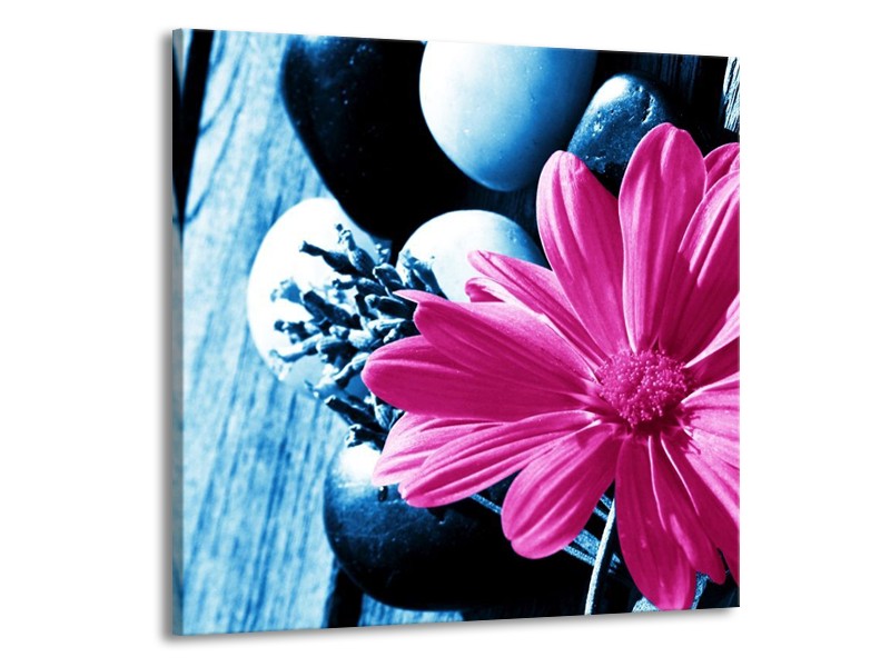 Canvas schilderij Roos | Roze, Blauw | 70x70cm 1Luik
