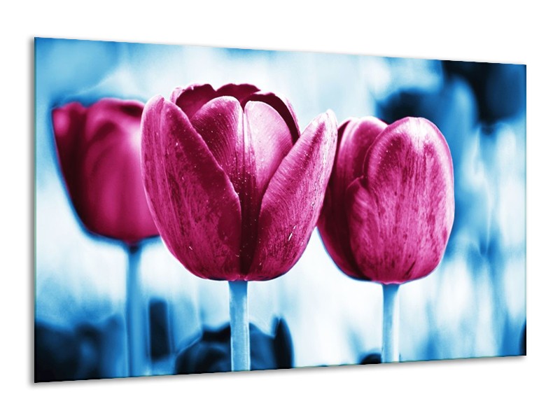 Canvas schilderij Tulp | Roze, Blauw | 120x70cm 1Luik