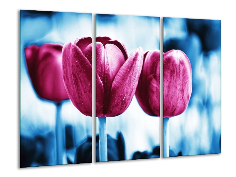 Canvas schilderij Tulp | Roze, Blauw | 120x80cm 3Luik