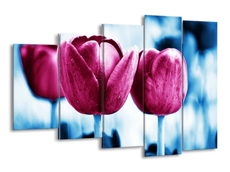 Canvas schilderij Tulp | Roze, Blauw | 150x100cm 5Luik