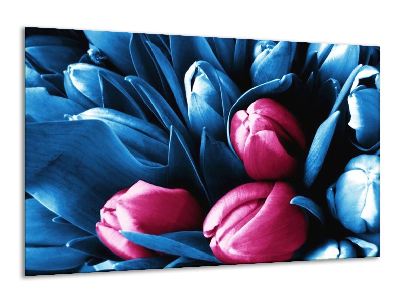 Canvas schilderij Tulp | Roze, Blauw | 120x70cm 1Luik