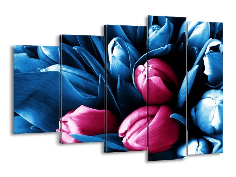 Canvas schilderij Tulp | Roze, Blauw | 150x100cm 5Luik