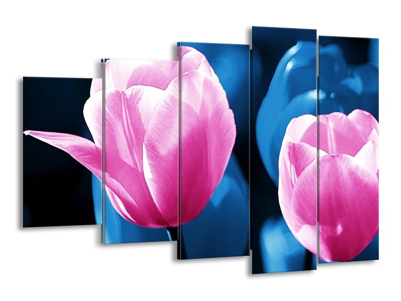 Canvas schilderij Tulp | Roze, Blauw | 150x100cm 5Luik